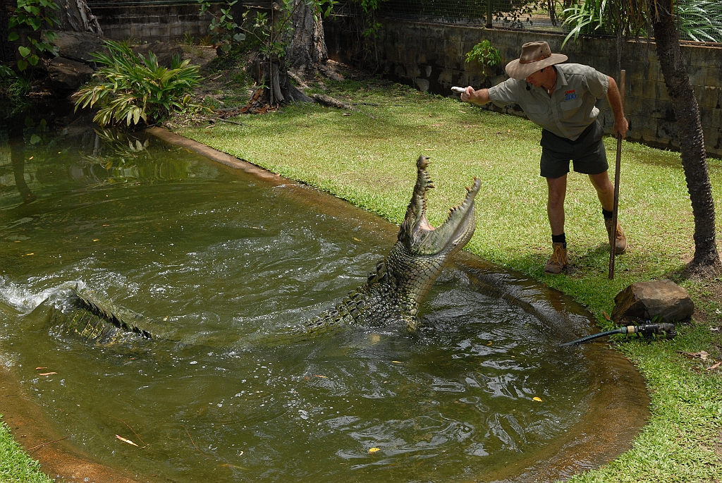 0076 Cairns Tropical Zoo.jpg
